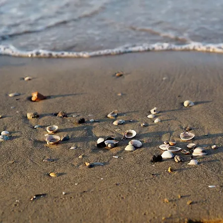 Two-story House Near The In ביביונה